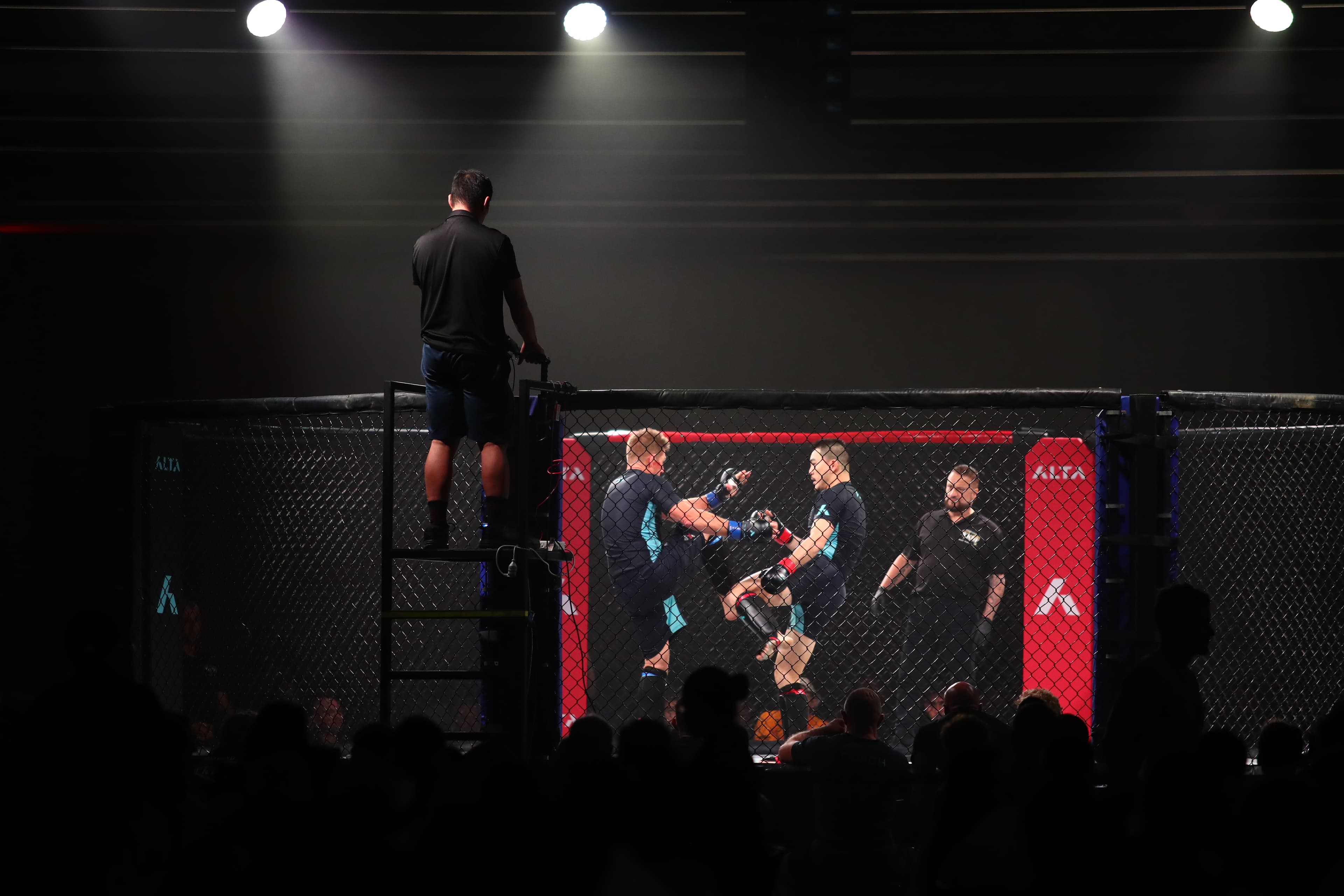Fight night